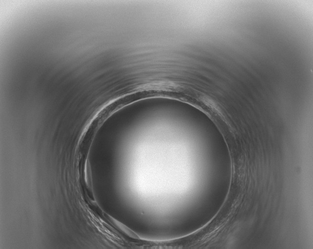 X0000054420923200508051802