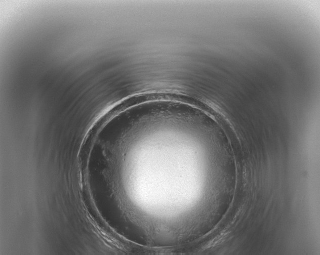 X0000054420925200508051802