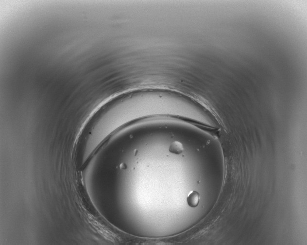 X0000054420926200508051802