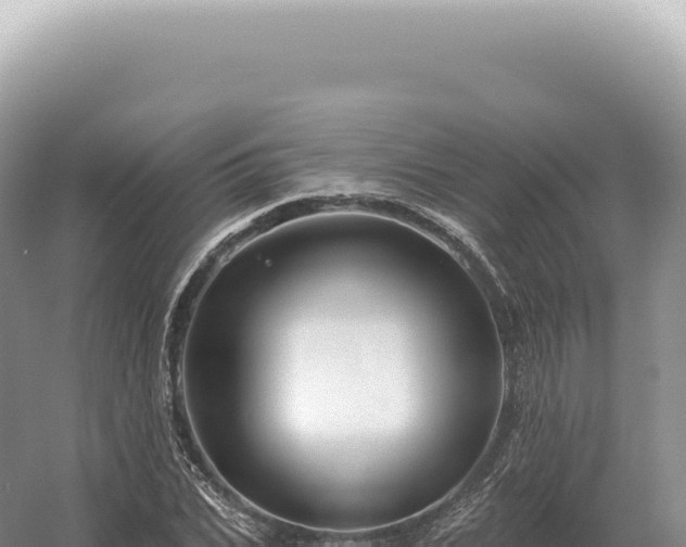 X0000054420927200508051802