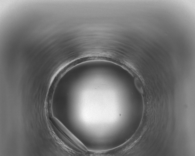 X0000054420928200508051802