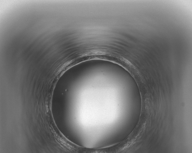 X0000054420929200508051802