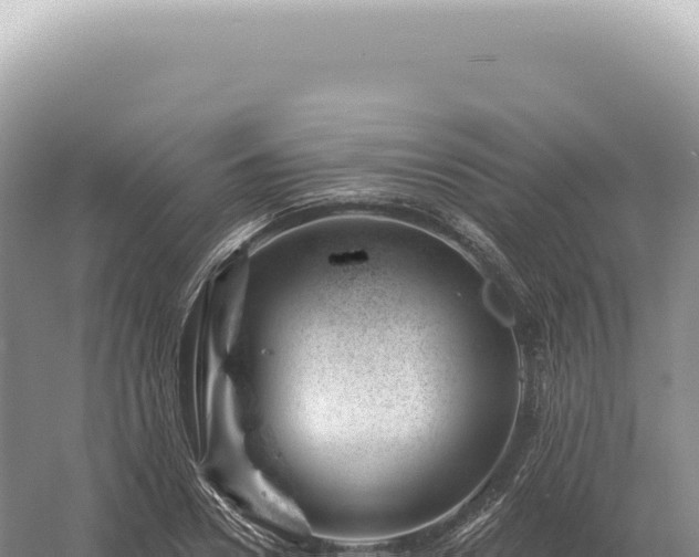 X0000054420930200508051802