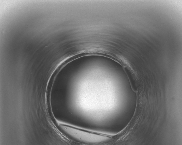 X0000054420932200508051802