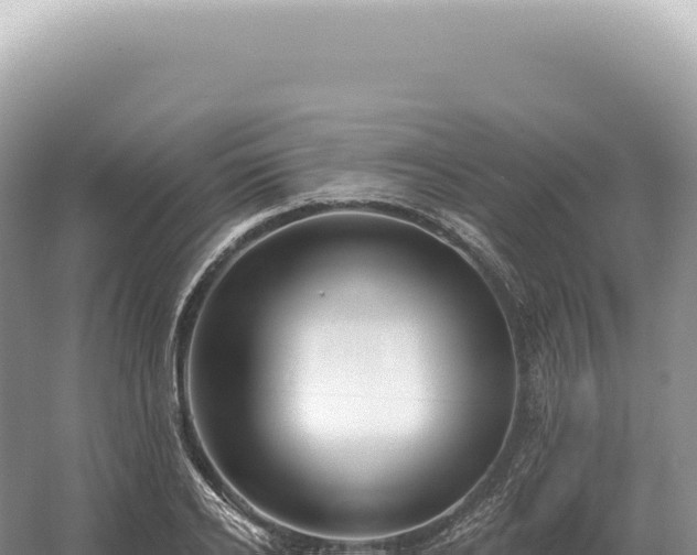 X0000054420934200508051802