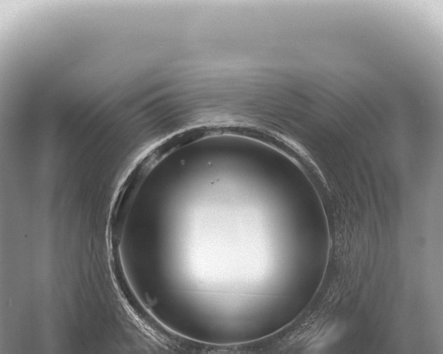 X0000054420935200508051802