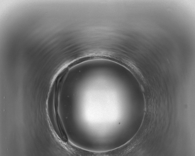 X0000054420936200508051802