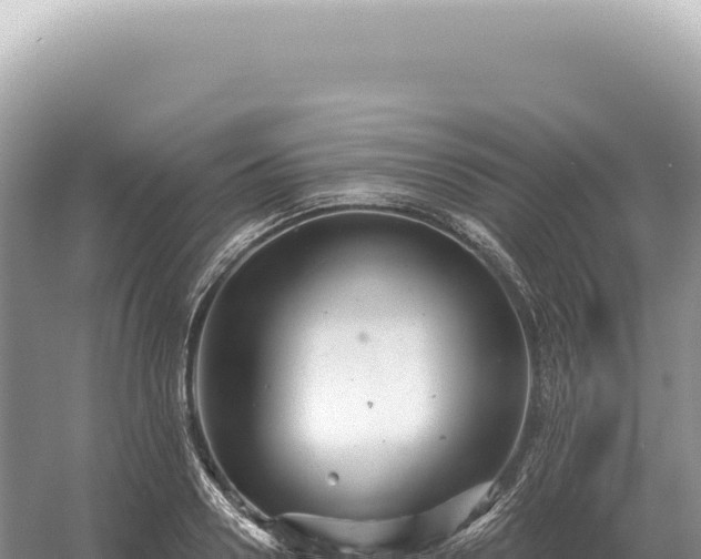 X0000054420938200508051802