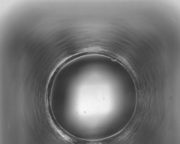 X0000054420939200508051802