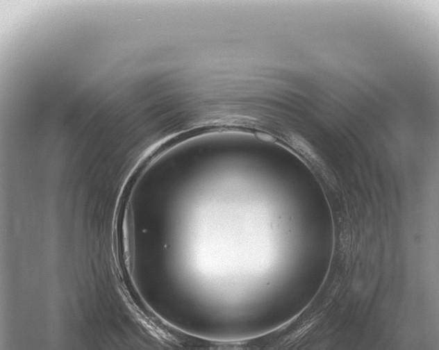 X0000054420940200508051802