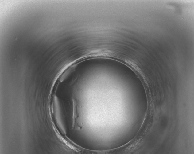 X0000054420941200508051802