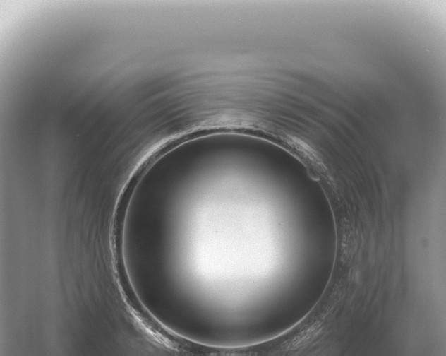 X0000054420942200508051802