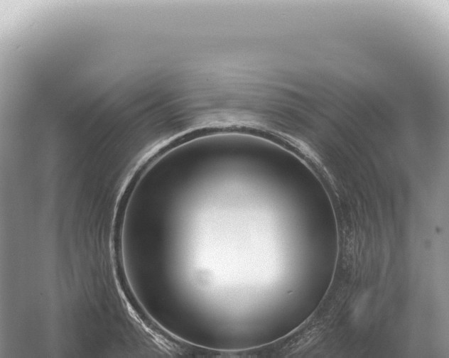 X0000054420943200508051802