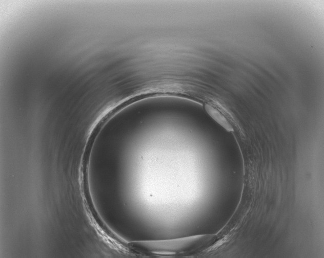 X0000054420944200508051802