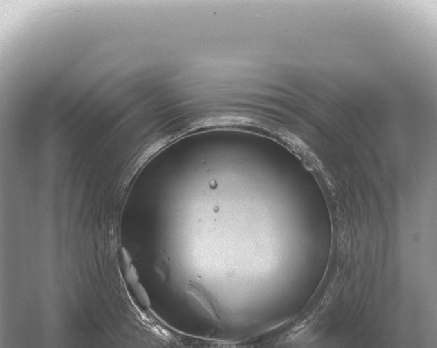 X0000054420945200508051802