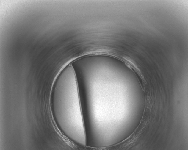 X0000054420948200508051802