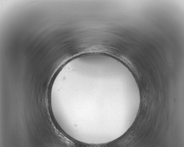 X0000054420950200508051802