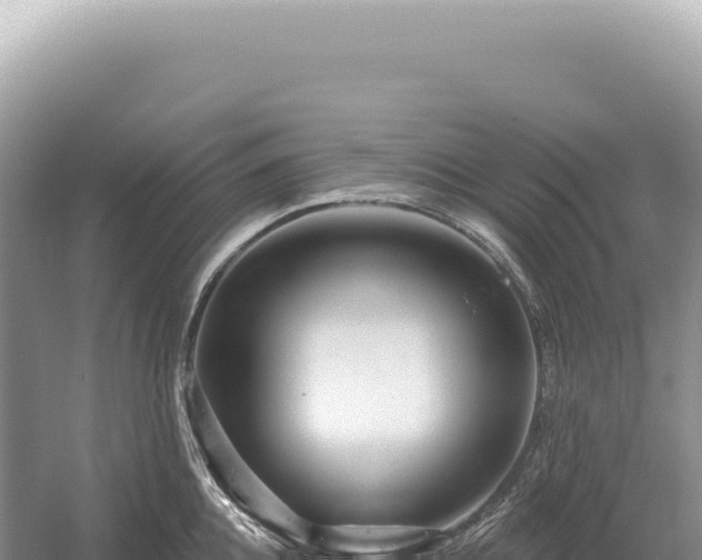 X0000054420952200508051802