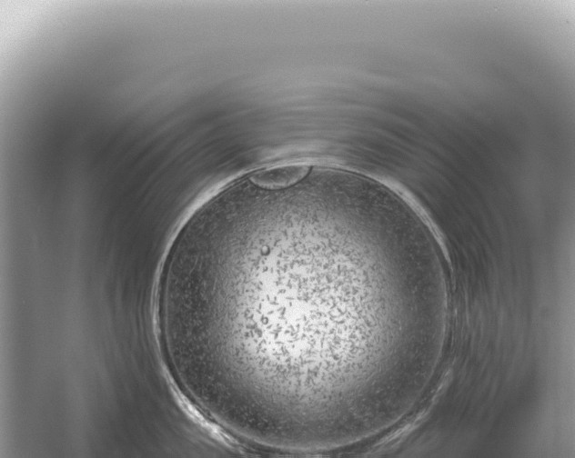 X0000054420957200508051802