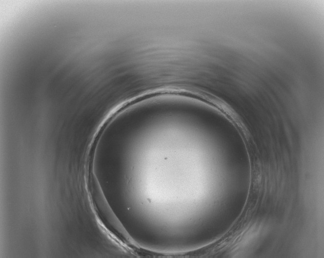 X0000054420958200508051802