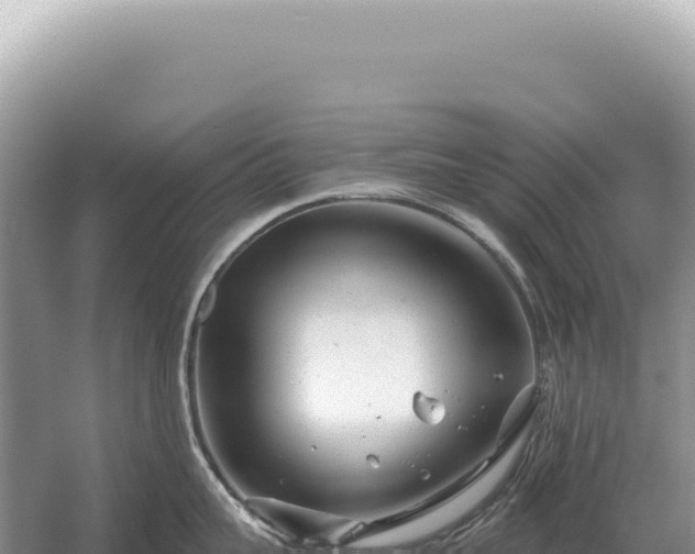 X0000054420959200508051802