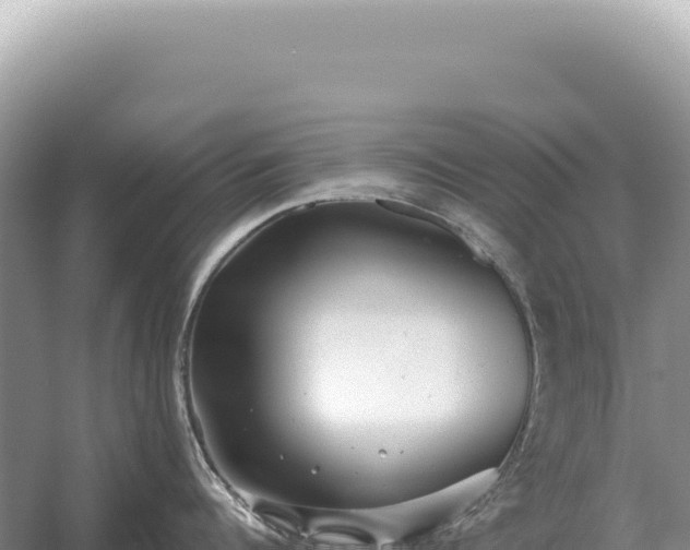 X0000054420960200508051802