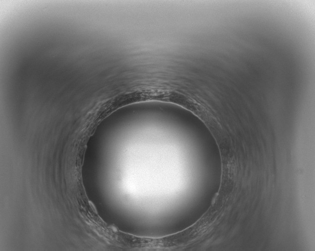 X0000054420961200508051801