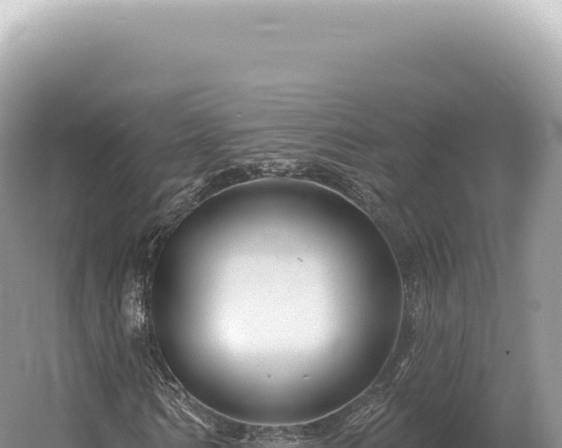 X0000054420962200508051801