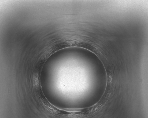 X0000054420963200508051801