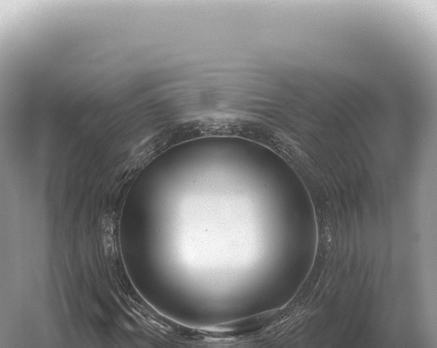 X0000054420964200508051801