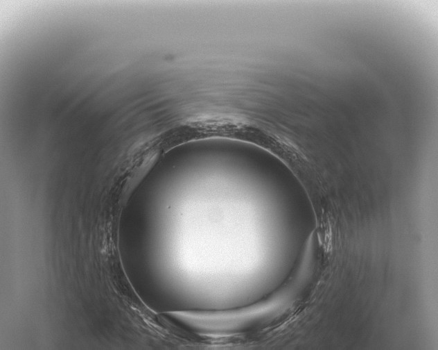 X0000054420965200508051801