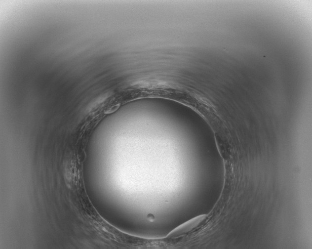 X0000054420966200508051801