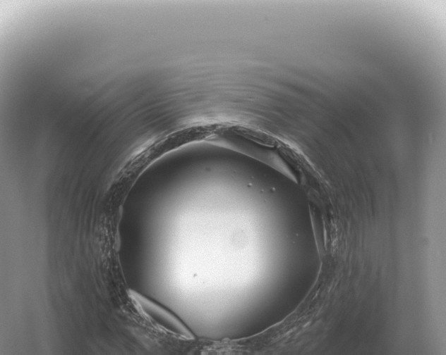 X0000054420967200508051801