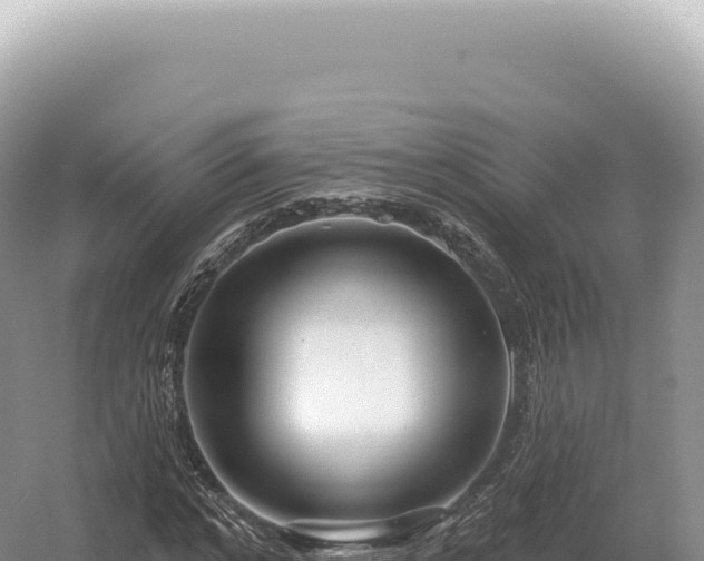 X0000054420968200508051801