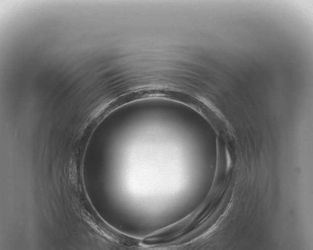 X0000054420969200508051801