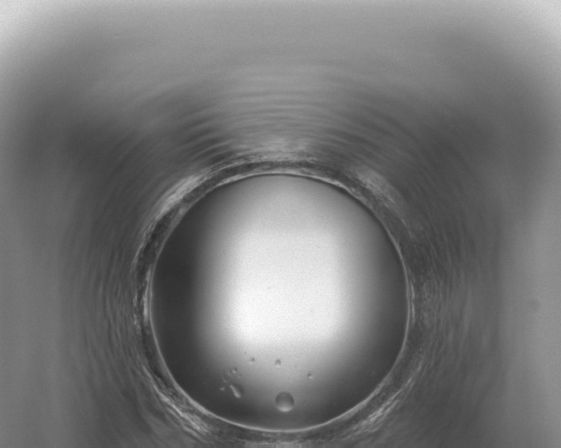 X0000054420970200508051801