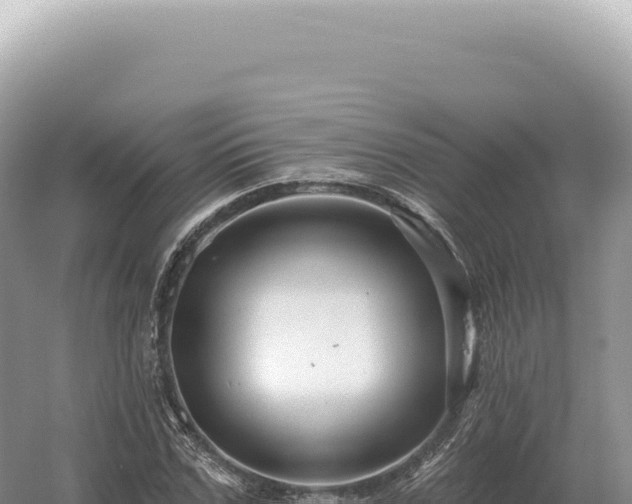 X0000054420971200508051801