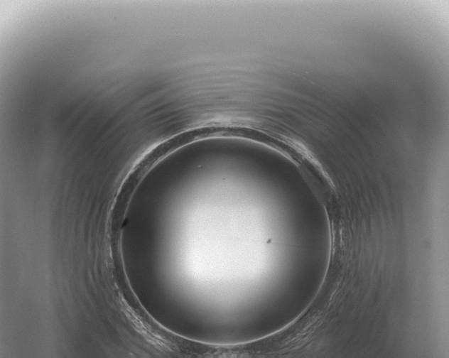 X0000054420972200508051801