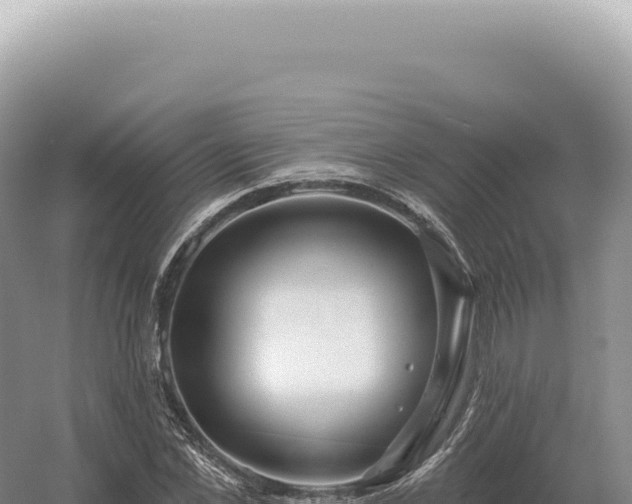 X0000054420973200508051801