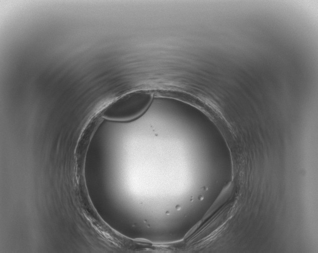 X0000054420974200508051801