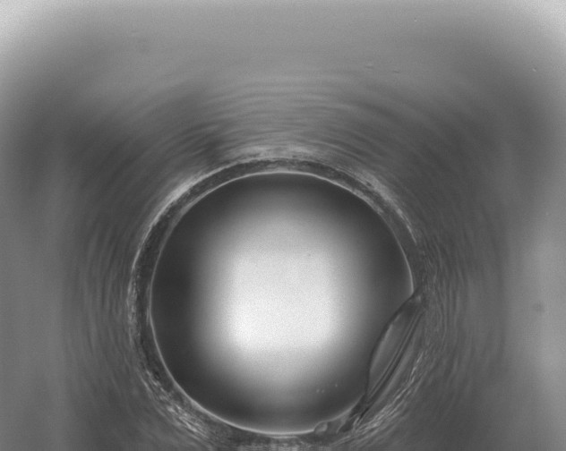 X0000054420975200508051801