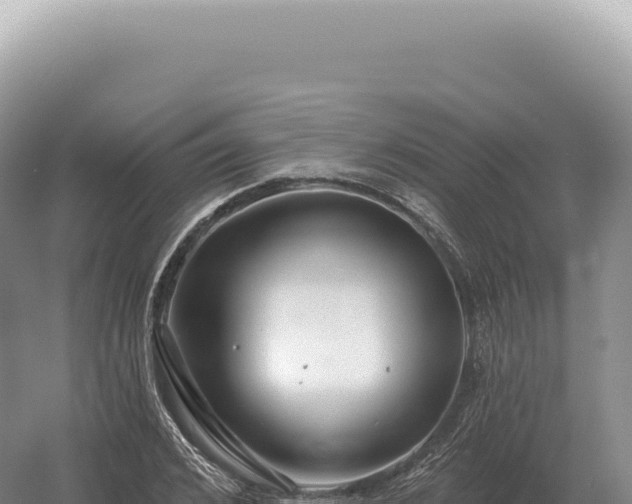 X0000054420976200508051801