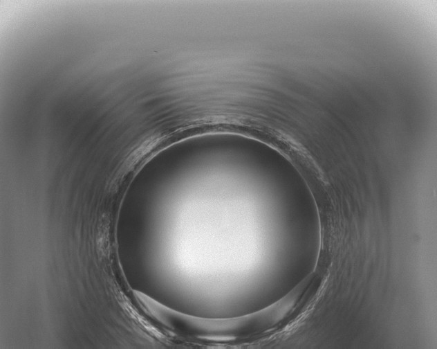 X0000054420977200508051801