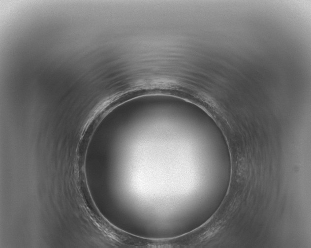 X0000054420978200508051801