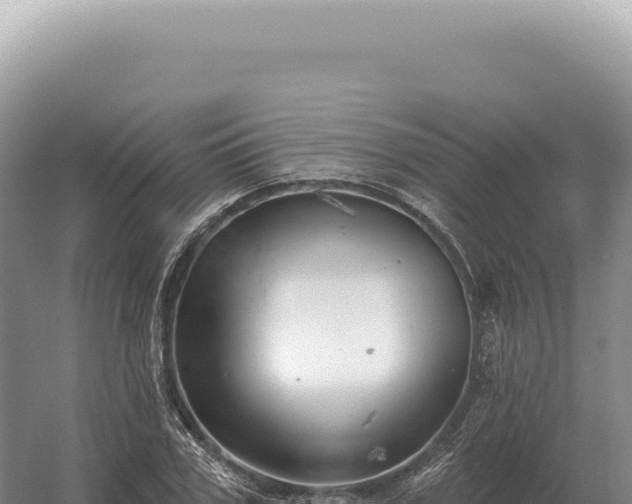 X0000054420979200508051801