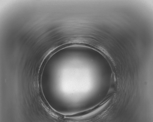 X0000054420980200508051801