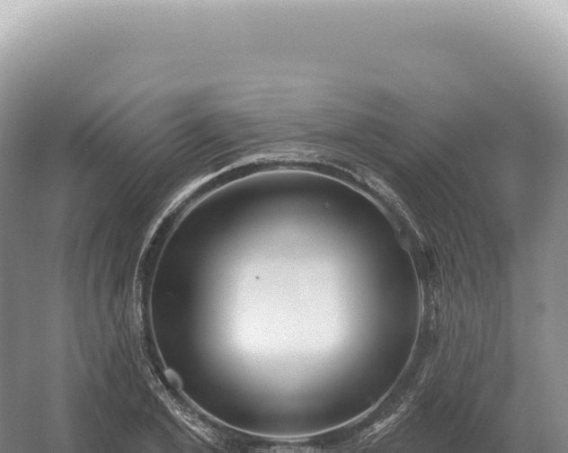 X0000054420981200508051801