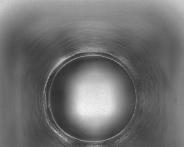 X0000054420982200508051801