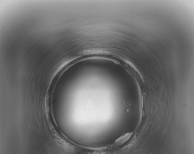 X0000054420983200508051801