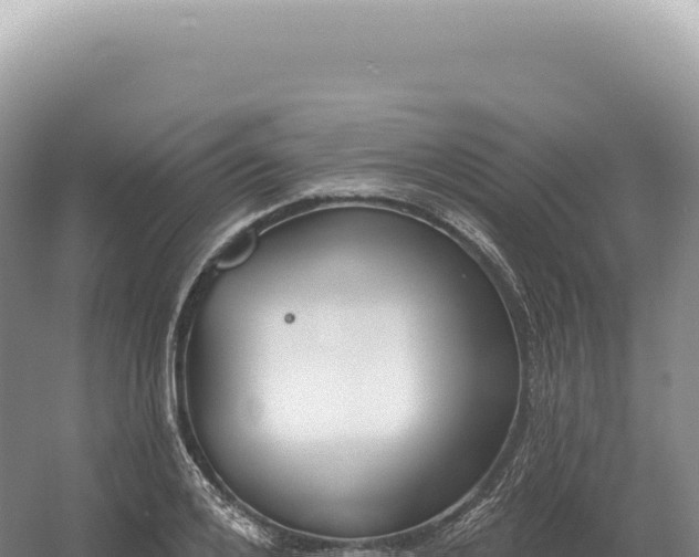 X0000054420984200508051801